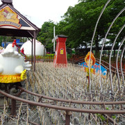DSC00355