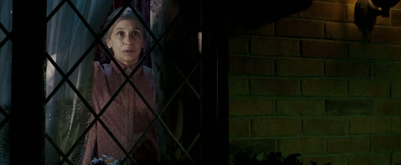Harry Potter and the Order of the Phoenix Screenshot