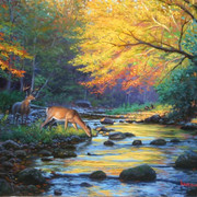 Wild-America