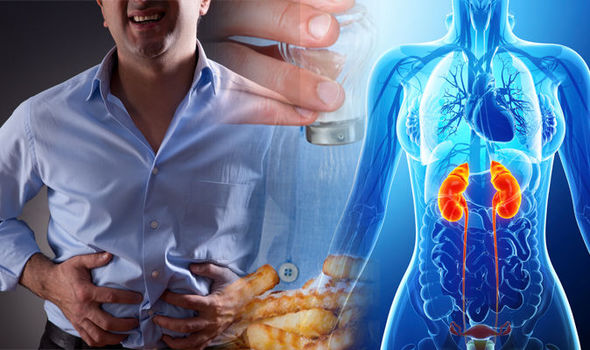 Educational insight into kidney health and natural care through the MKP Method.