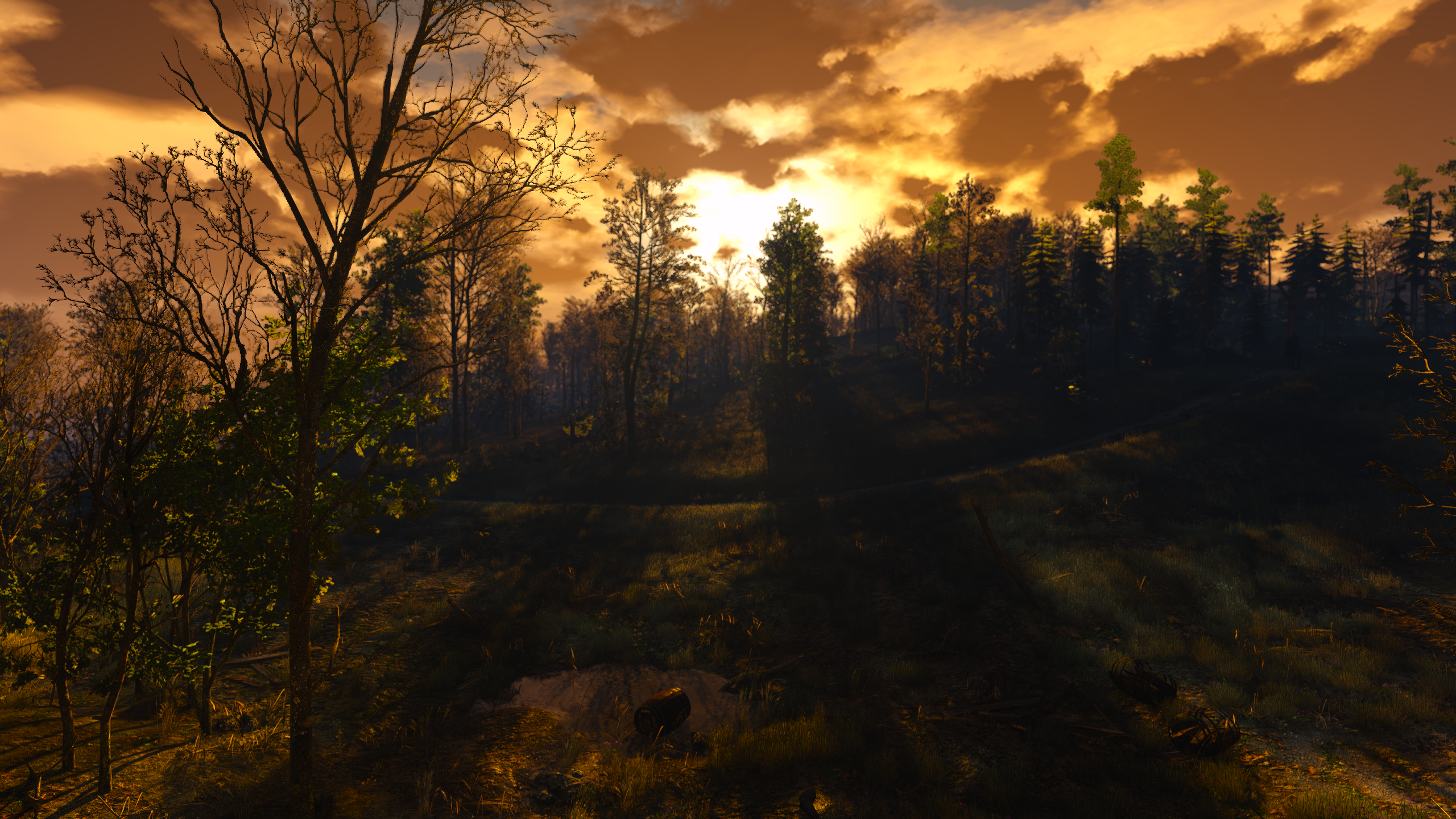 screenshot-22238.png
