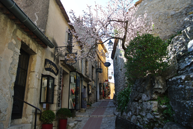 DSC-7071.jpg
