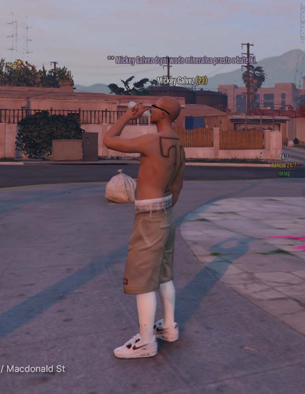 ss4.jpg