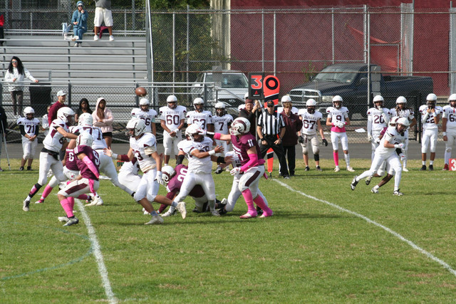 IMG-9815