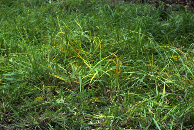 DSC7881-2.jpg