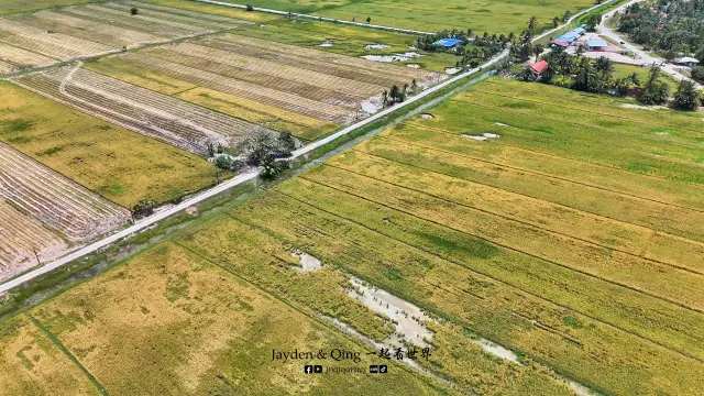 Sawah Air Papan4.webp