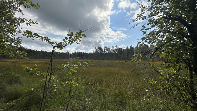 IMG 4572.jpg