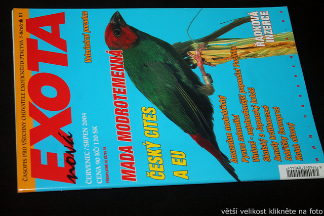 IMG-7791