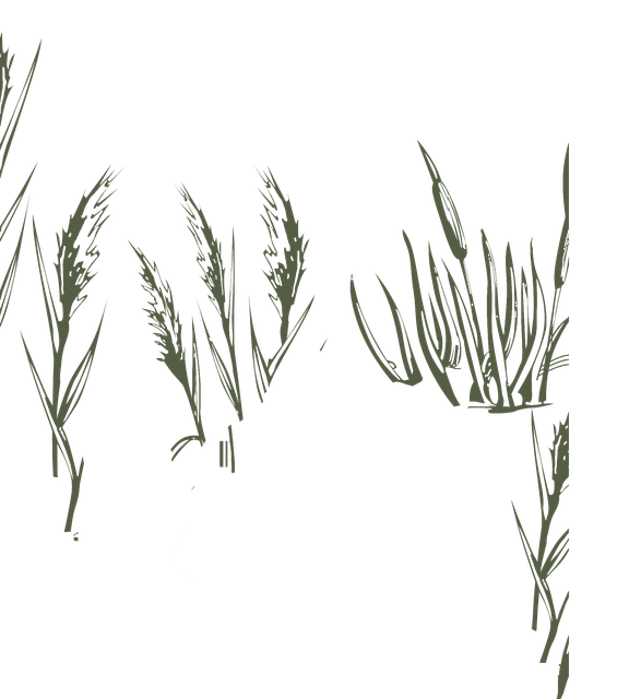 eaeca11264b67a5f962ca3498f88375f.png