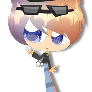 Officer