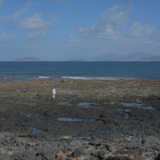 DSCF8249