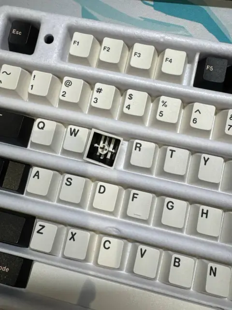olivia2.webp