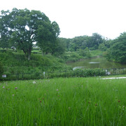 P1320245