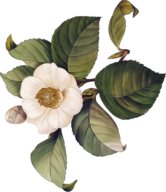 6503631d3a81efa4c69e2e9cb4173824.png