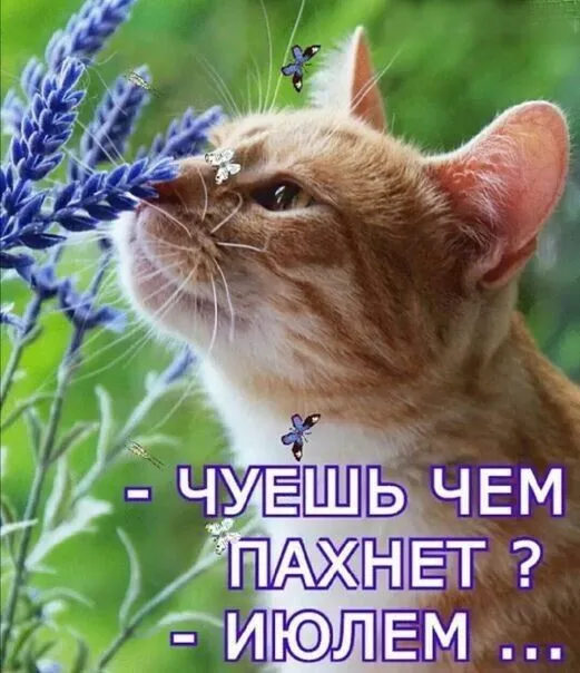 https://i.ibb.co/k6mHQw7t/IMG-5293.webp
