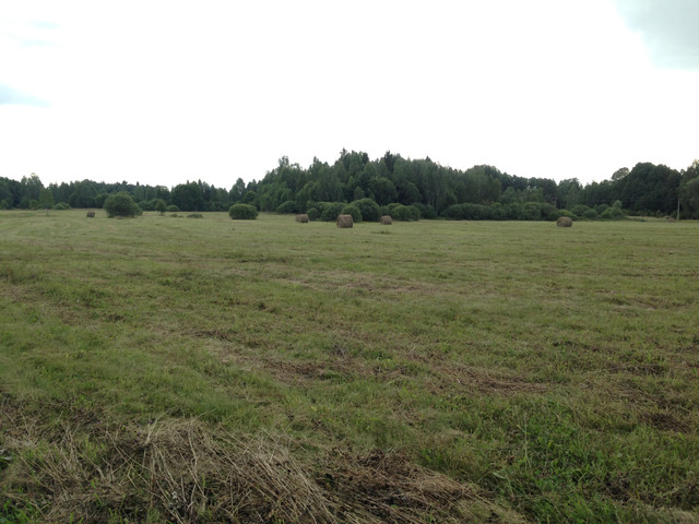 IMG-3965