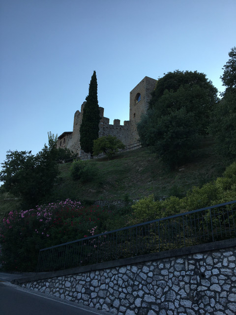 IMG-1009