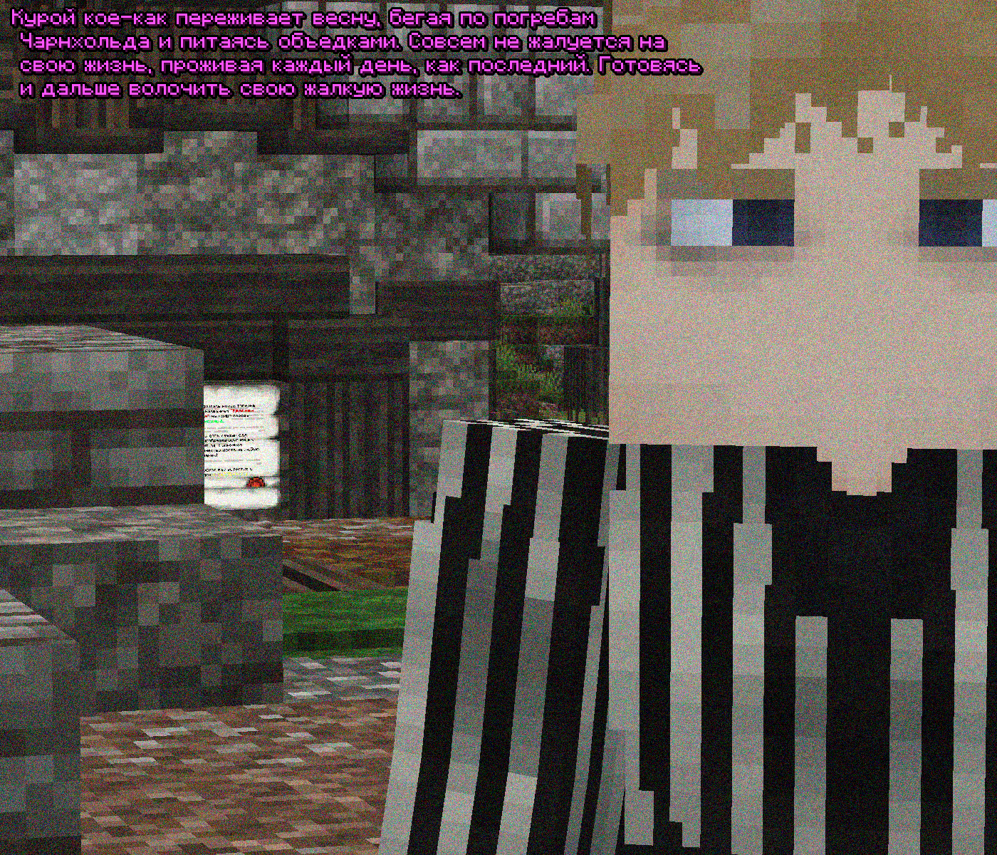 SS.png
