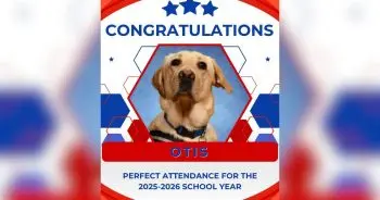 Therapy Dog Perfect Attendance