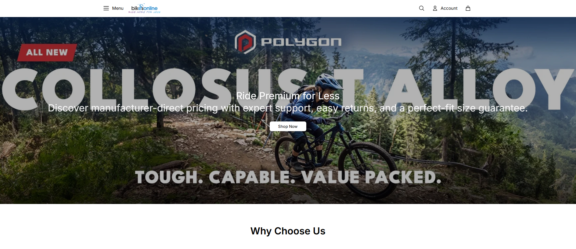 Primary capture · bikesonlinestore.shop