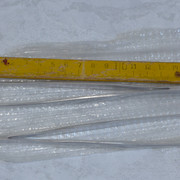 P1120876