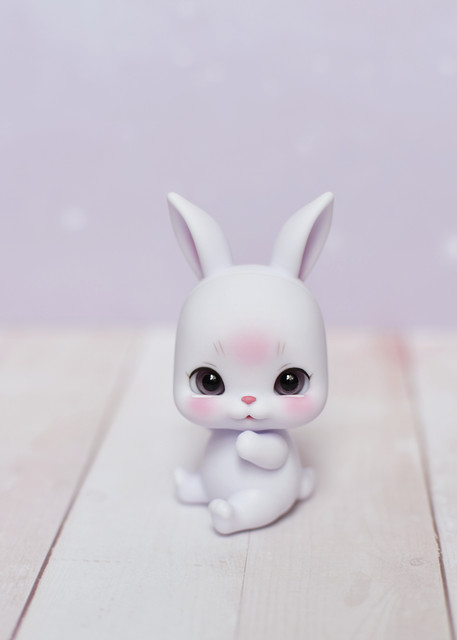 LPR-010-copy