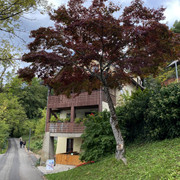 IMG-2889