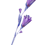 0-1c2ed9-1b7db95e-orig