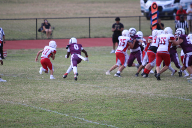 IMG-2276.jpg
