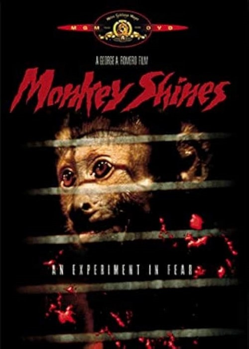 Małpia intryga / Monkey Shines (1988) Pl.1080p.WEB-DL.X264-Kbuso | Lektor PL