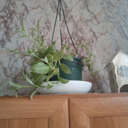 IMG-20220401-090005