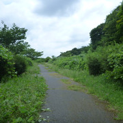 P1320388