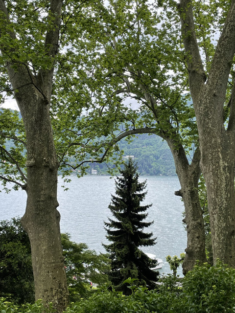 IMG-0615