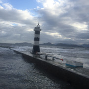IMG-3497