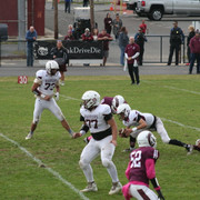 IMG-0252