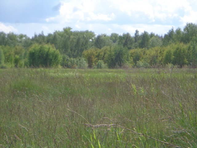 DSC00644.jpg