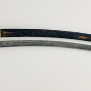 IMG-E5584