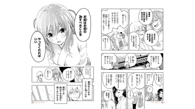 DLRAW-NET-011