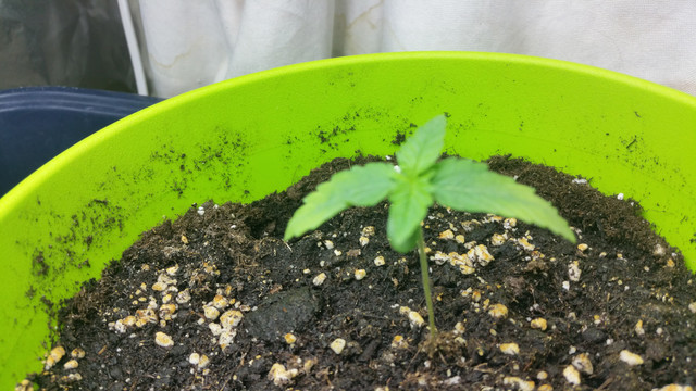 20170801 105141