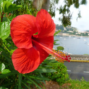 P1040171