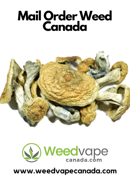 Main-Order-Weed-Canada-38.png