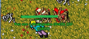 krok2.jpg