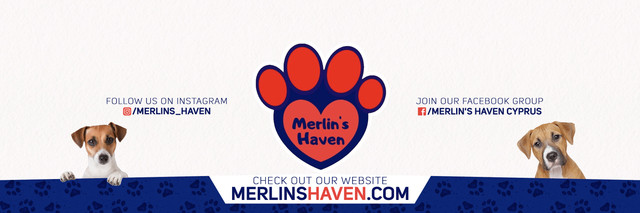Merlins-Haven-v2.jpg