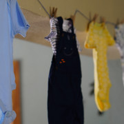 DSC00457