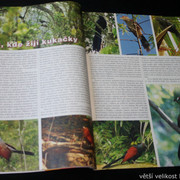 IMG-7763