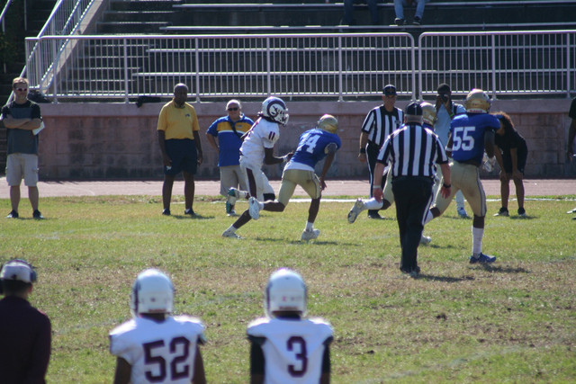 IMG-1416