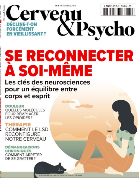 cerveau.jpg