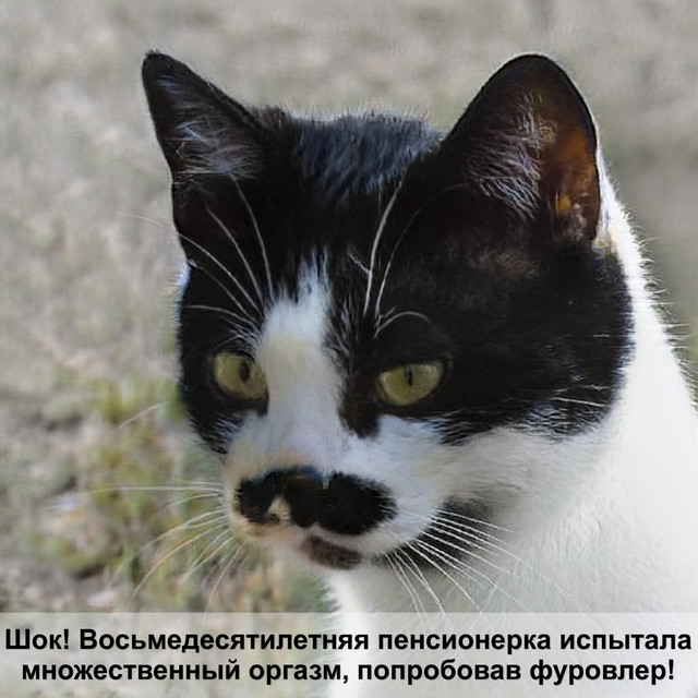 Загружено: Инна Хусаинова. Россия Магнитогорск