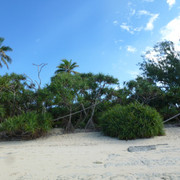P1060453