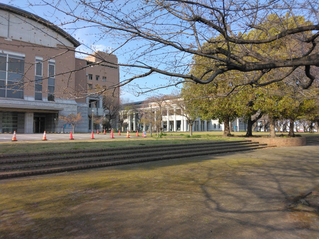 IMG-20240331-155228.jpg